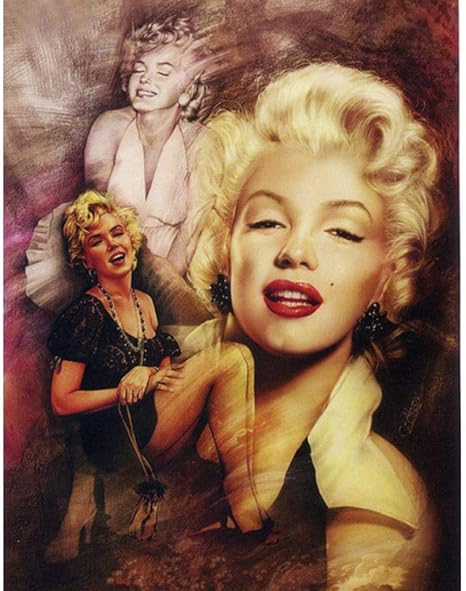 Diy 5d Diamond Painting 5d Diy Diamant Malerei Promi Frau Portrat Kreuzstich Diamant Stickerei Blume Kristall Runde Diamant Mos Amazon Ca Home Kitchen