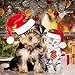 Dog Santa Hat Cat Xmas Hat, Cat Christmas Outfits