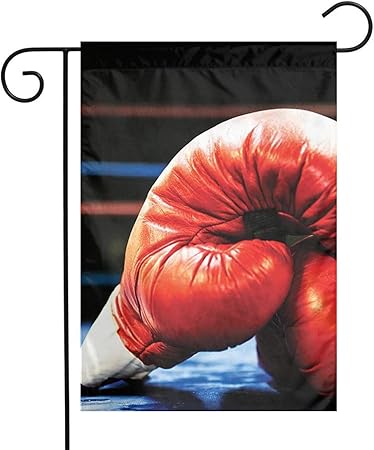 vintage boxing gloves amazon