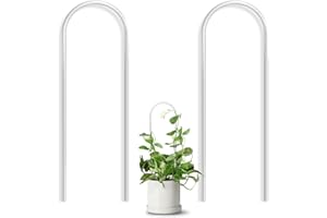 JETTIFY 2 Pack U-Shaped Clear Acrylic Trellis for Indoor Plants, Small Plant Trellis for Potted Plants Climbing Plants, Plant Support Hoya Trellis for Vine Ivy Hoya Indoor Outdoor