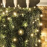 Set of 100 LED Warm White LED Net Lights