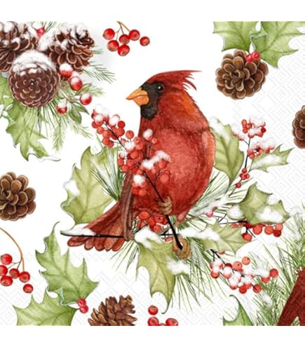 Ideal Home Range Papierservietten – 3-lagig, 12,7 X 12,7 Cm, Winterberry Design, 20 Stück