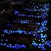 Glow in the Dark Garden Pebbles Stone for Walkway Yard and Decor DIY Decorative Gravel Stones in Blue & Green (200, Blue & Green)