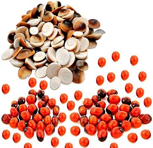 ShopeCruze Set of 100 Pcs Gomti Chakra and Natural Red Gunja Red Chirmi