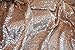 ShiDianYi 3 Feet 1 Yards-Sequin Fabric, by The Yard, Sequin Fabric,Sequin Fabric Squares, Material Curtain, Tablecloth, Linen, for Xmas Decor (1 Yard, Champagne)