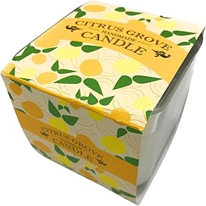 EV GIFTS Citrus Grove Glass Tumbler Candle, 10 OZ