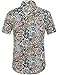 SSLR Mens Summer Shirts Short Sleeve Aloha Shirt Hawaiian Shirts for Men (X-Large, Blue Red (168-4))