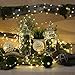 Lighting EVER Plug in Fairy Lights with Switch 66 ft 200 LED String Lights, Warm White Copper Wire Lights Waterproof Indoor Outdoor Decorative Fairy Lights for Bedroom, Patio, Garden, Balcony, Dorm
