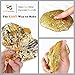 OPount 100 Sheets Imitation Gold Leaf 5.5 Inch for Art, Crafts Decoration, Gilding Crafting, Frames