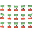 ZXvZYT Mexico Mexican Flag Banner String,Small Mini Mexico Pennant flags,For Grand Opening,National Sports Events,Party Festival Decorations(50 Feet 38 Flags)