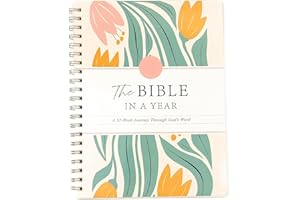 The Bible In A Year: A 52-Week Bible Study For Women Spiral, Spiral Bible In A Year, The Daily Walk Bundle, A Daily Bibles Study Workbook With Note Taking Space For Guided Reading Plan (8.27*5.83inch)