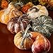 Factory Direct Craft Package of 6 Assorted Shape and Color Artificial Frosted Gourds and Pumpkins for Halloween, Fall and Thanksgiving Decorating