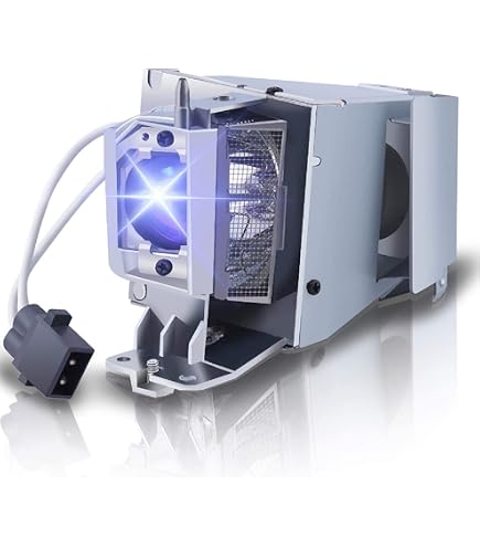 Amazon.com: Advanced Lamps™ Lamp & Housing for The Optoma EH320UST