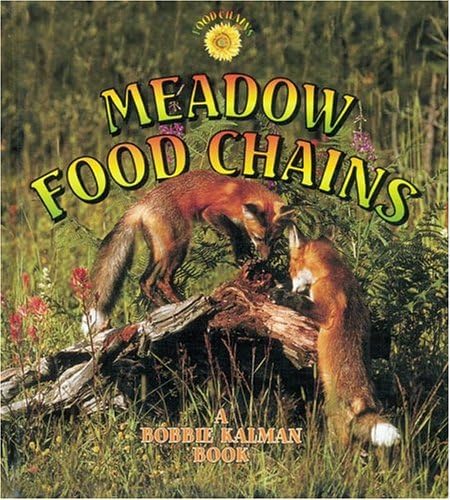 Meadow Food Chains Paperback โ Illustrated, October 31, 2004