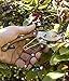 Signature HANDTOOLS Pruning Shears, Bypass Hand Pruner, Steel Blade Secateurs, Razor Sharp Clippers, Garden, Bushes, Hedge, Ergonomic Handles for Precise Cutting