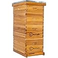 BeeCastle 8 Frame Langstroth Bee Hive Coated with 100% Beeswax Includes Beehive Frames and Waxed Foundations (2 Deep Boxes & 2 Medium Boxes)