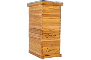 BeeCastle 8 Frame Langstroth Bee Hive Coated with Beeswax Includes Beehive Frames and Waxed Foundations (2 Deep Boxes & 2 Medium Boxes)