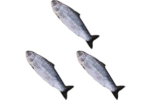 Beavorty Fish Plush Toy for Cats - 3-Pack Soft Stuffed Fish Doll Toy for Indoor Cat Play Mental and Physical Stimulation Inte