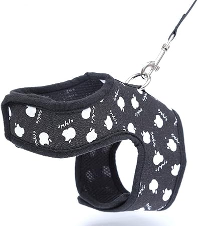 pets at home dog harness