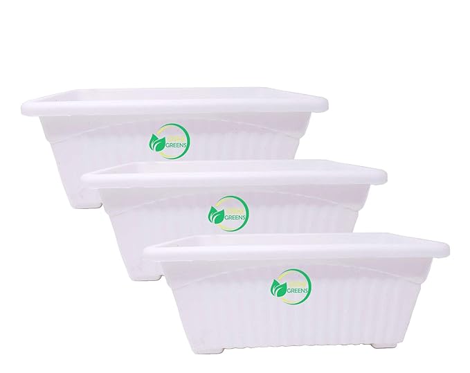 Oshi Greens Plastic Rectangle Pot (White, Pack of 3)