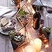 Tchan Glass Plant Terrarium Succulent Planter Prism Geometric Tabletop Brass Glass Artificial Home Decor (Gold)
