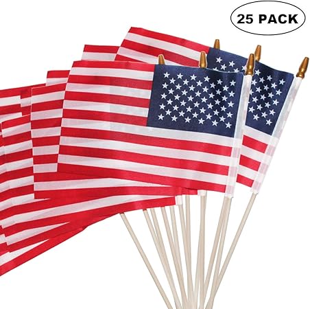 Amazon Com Mufri Small American Flags 5 5x8 2 Inch Small