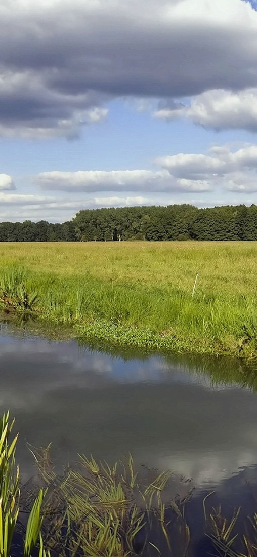 PeelitStickit, Beautiful Nature Wall Murals, ID-1126, vinyl