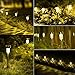 Joidy 12 Pack Solar Pathway Lights Outdoor, LED Solar Powered Garden Lights, Stainless Steel Landscape Lighting for Garden, Lawn, Patio, Yard, Walkway, Driveway Warm White