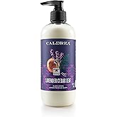 Caldrea Hand Lotion, For Dry Hands, Made with Shea Butter, Aloe Vera, and Glycerin and Other Thoughtfully Chosen Ingredients, Lavender Cedar Leaf Scent, 10.8 oz