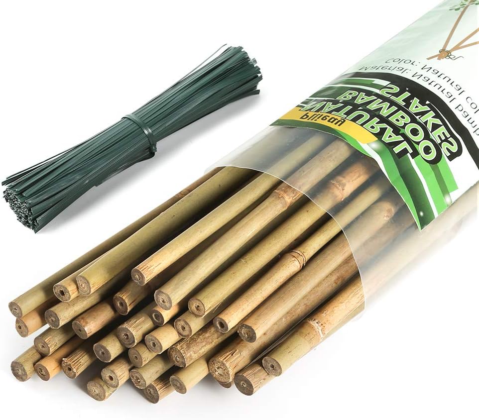 Pllieay 64 Pieces Bamboo Stakes 6 Feet for Plant Stakes Supports with 300 Pieces 15 cm Long Green Metallic Twist Ties