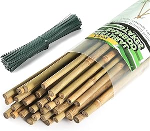 Pllieay 64 Pieces Bamboo Stakes 6 Feet for Plant Stakes Supports with 300 Pieces 15 cm Long Green Metallic Twist Ties