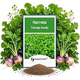 Instant Latch 500 Namenia Turnip Seeds | Non_GMO | Heirloom | Fresh Garden Seeds