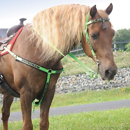 Triple E Nylon Southwest Trail Rein Neon Orange