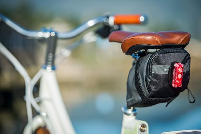 blackburn dayblazer 65 rear