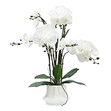 CXGS Artificial Orchid Flower Plant 20.9'' Real