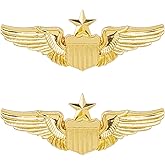 SUPERFINDINGS 2Pcs Wings Pin Gold Wing Pilot Badge Pilot Costume Lapel Pin Alloy Brooch Air Force Wing Pins Metal Aviator Brooch for Hat Shirt Jacket Uniform Costume
