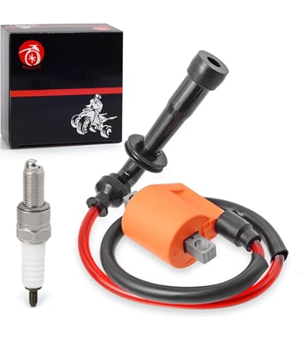 Amazon.com: Goodfind68 New Ignition Box Compatible With