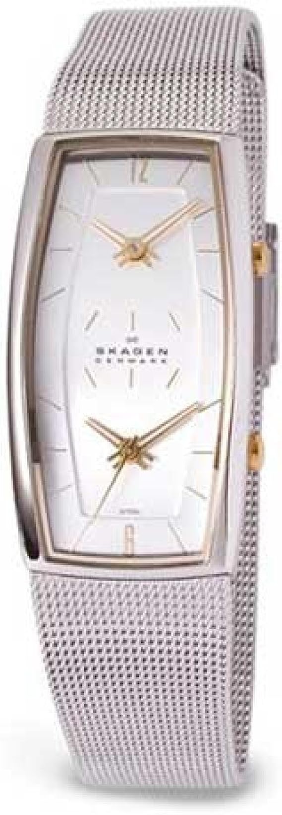 Skagen Women's 281SGSC DualTime Mesh Grey Dial Watch Amazon.ca Watches