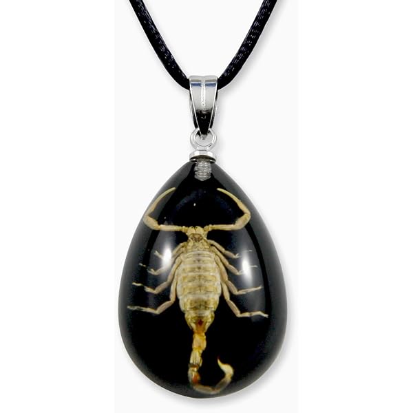 Natural Scorpion In Resin Amber Pendant Necklace - Real Insect Decorative Stone For Jewelry & Home - View #5