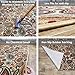 Indoor Doormat Rubber Backed, 18 x 30 inch, Non Slip, Very Soft Cut Pile, Kitchen Rugs and Mats