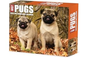 Just Pugs 2026 5.4" x 6.2" Box Calendar