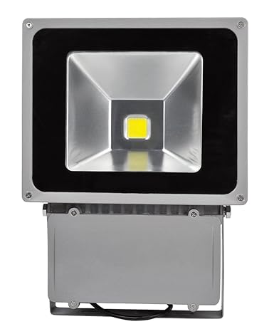 100W LED Foco Proyector,ALPHA DIMA IP65 Impermeable Luz de ...