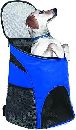 blue air pet transport