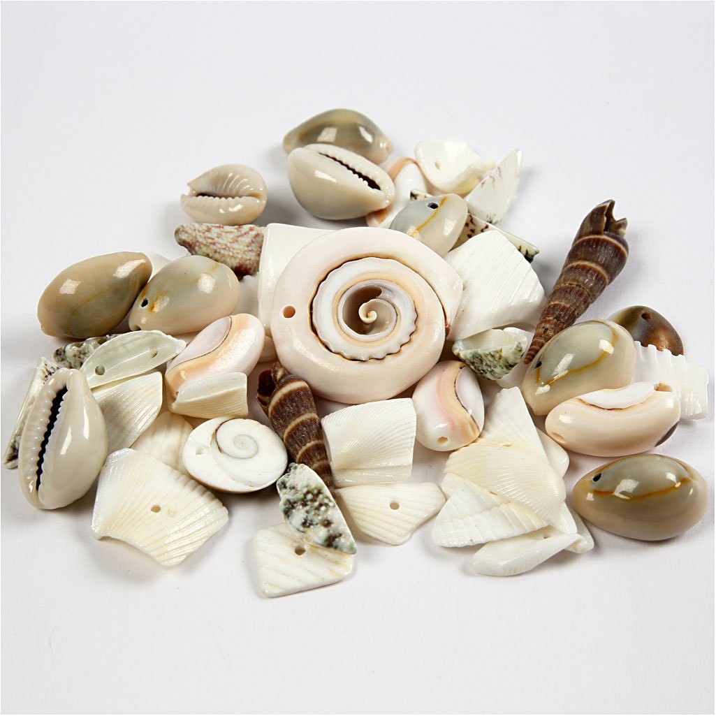 Beach Shells, size 9-40 mm, 120g