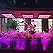 KINGBO 45W LED Plant Grow Light Panel Full Spectrum Reflector 225 LEDs 6-Band Includ UV IR with Switch for Indoor Plants Seeding Micro Greens Clones Succulents