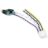 NuIth 10 Pin Power Harness Plug for Pioneer TS-WX1210A TS-WX1010A TS-WX300A TS-WX300TA, Ground Remote Wire Subwoofer Speaker high Level Input RCA Cable