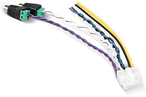 NuIth 10 Pin Power Harness Plug for Pioneer TS-WX1210A TS-WX1010A TS-WX300A TS-WX300TA, Ground Remote Wire Subwoofer Speaker 