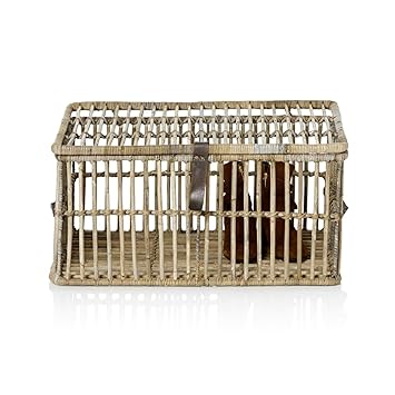 IMPRESSIONEN living Truhen-Set, 2-tlg. - Country-Style: Amazon.de