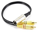 CablesOnline 1ft 5-Pin Din Male to 2-RCA Male