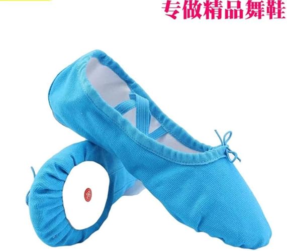 girls blue ballet shoes